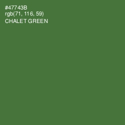 #47743B - Chalet Green Color Image
